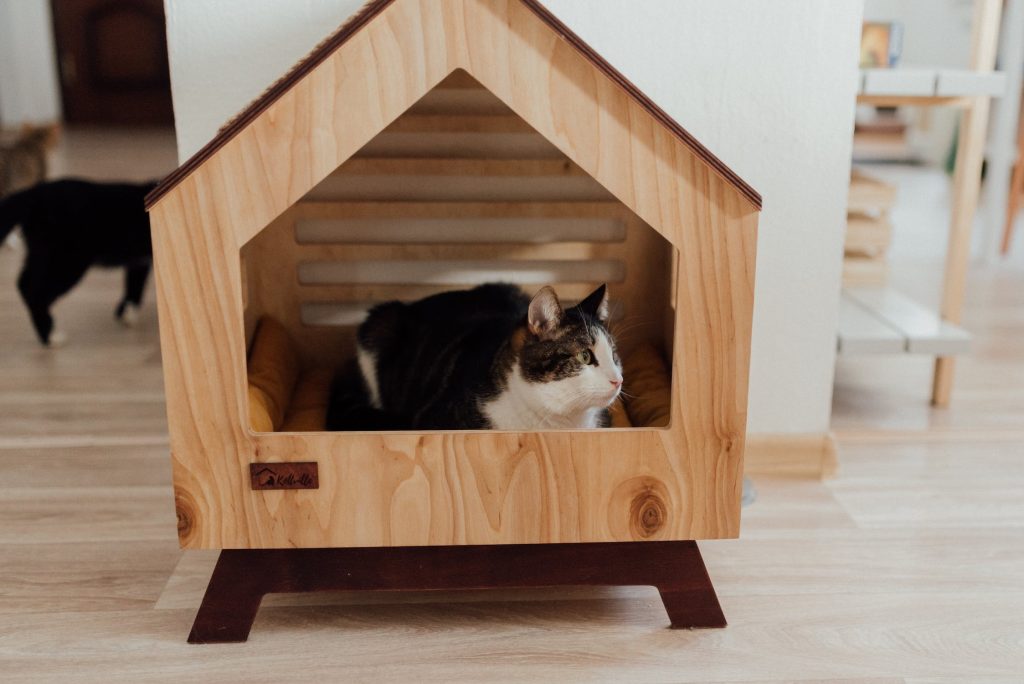 Indoor Pet Houses: A Guide to Cozy Living Spaces for Pets