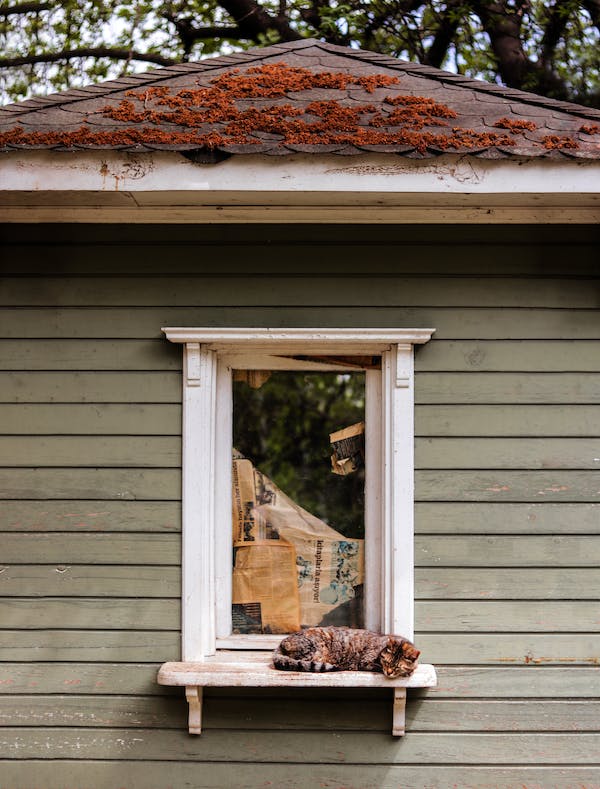 Indoor Pet Houses: A Guide to Cozy Living Spaces for Pets