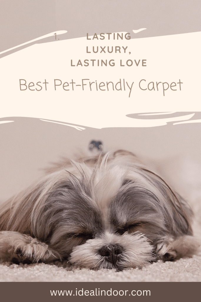 Pet-Friendly Carpet