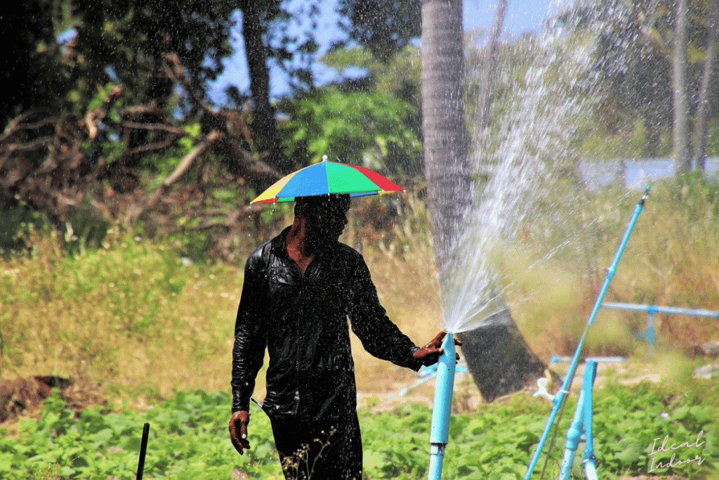 The Ultimate Guide to Watering Garden in Summer Heat