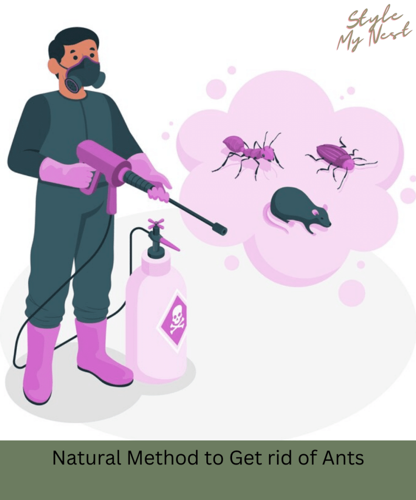 Natural Method to Get rid of Ants