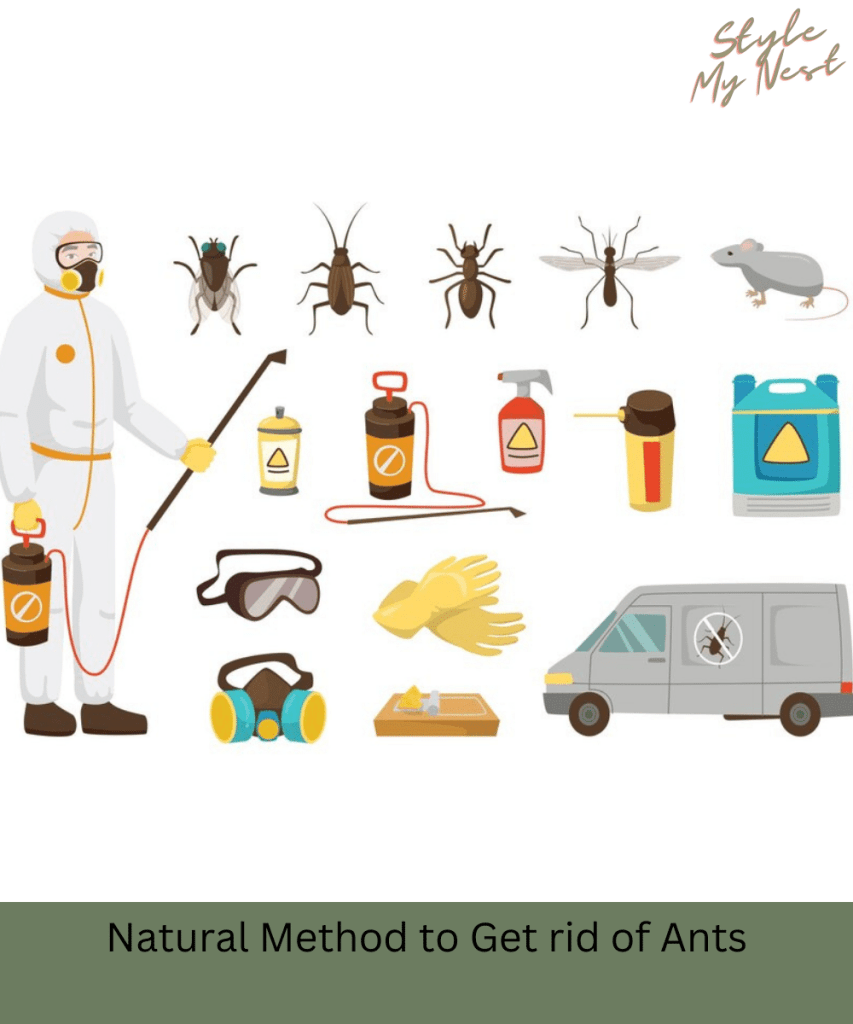 Natural Method to Get rid of Ants