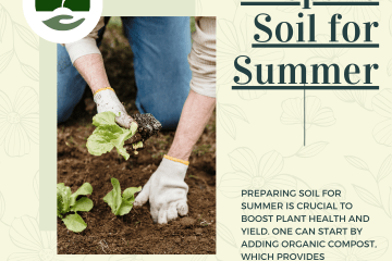 Prepare Soil for Summer