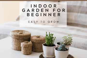 Indoor Gardening for Beginner