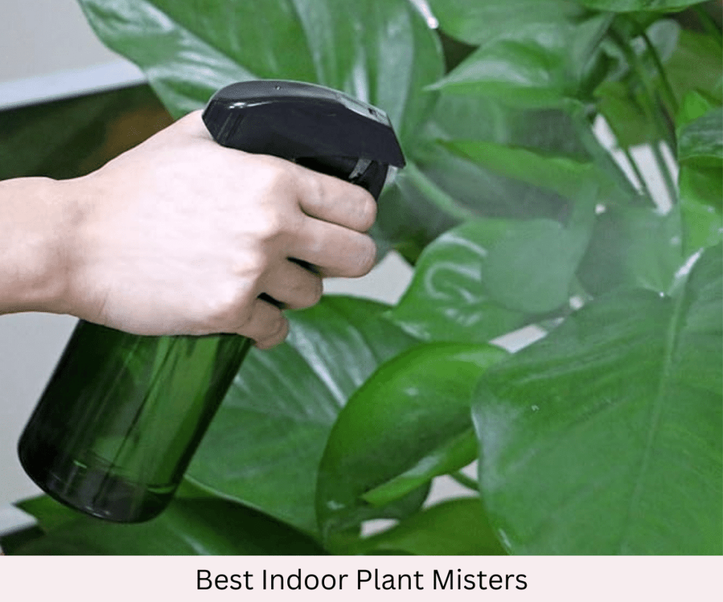 Indoor Plant Misters