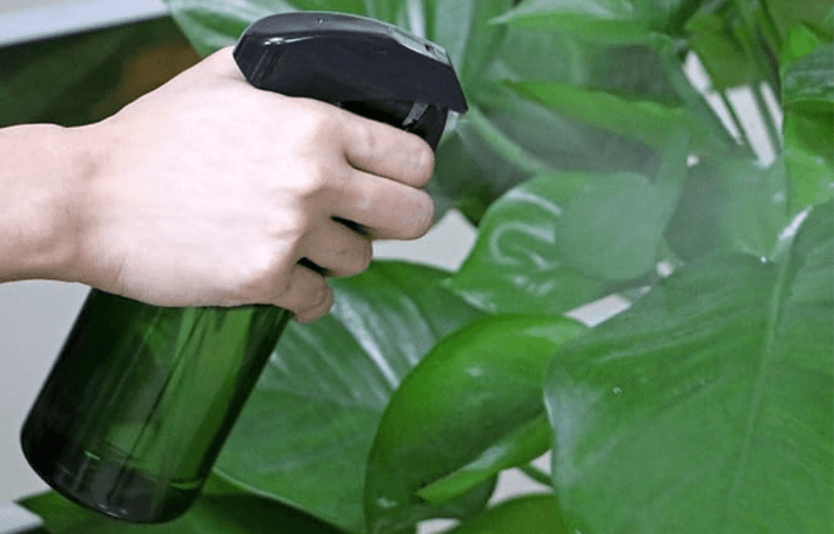 Indoor Plant Misters