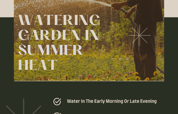 The Ultimate Guide to Watering Garden in Summer Heat