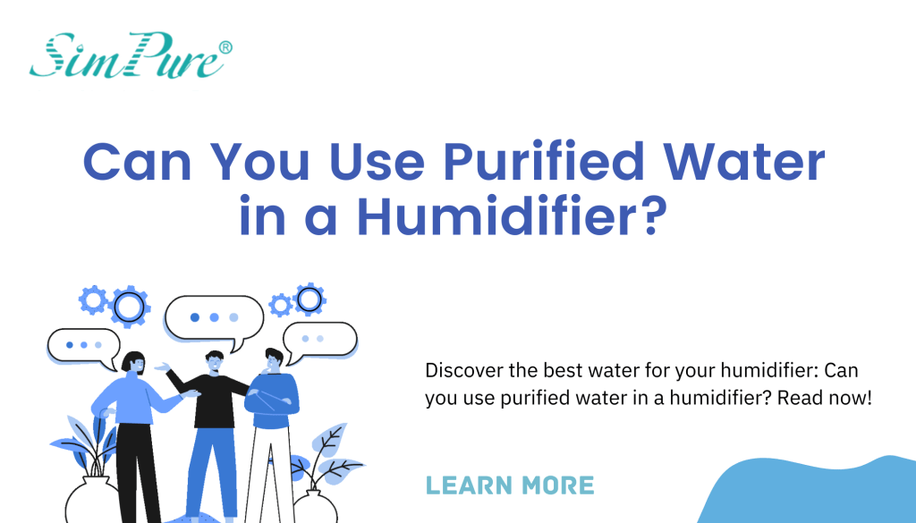 Can You Put Purified Water in a Humidifier