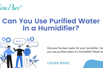 Can You Put Purified Water in a Humidifier