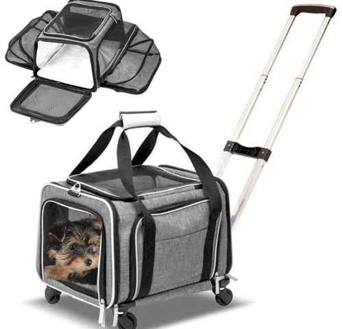 Best Pet Carrier With Wheels