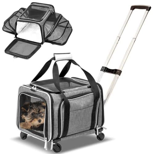 Best Pet Carrier With Wheels