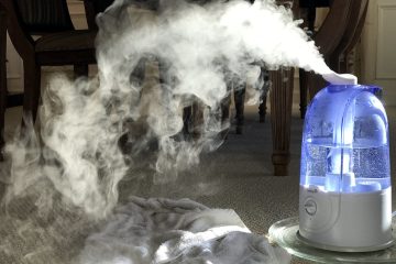 Humidifier Settings in Winter