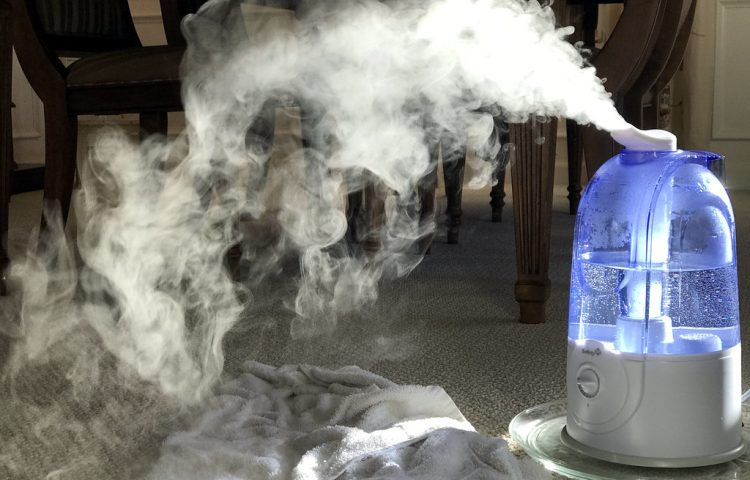 Humidifier Settings in Winter