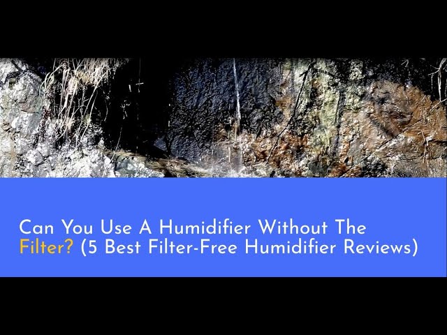 Can You Use a Humidifier Without a Filter