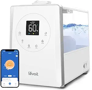 Humidity Levels for Asthma Sufferers