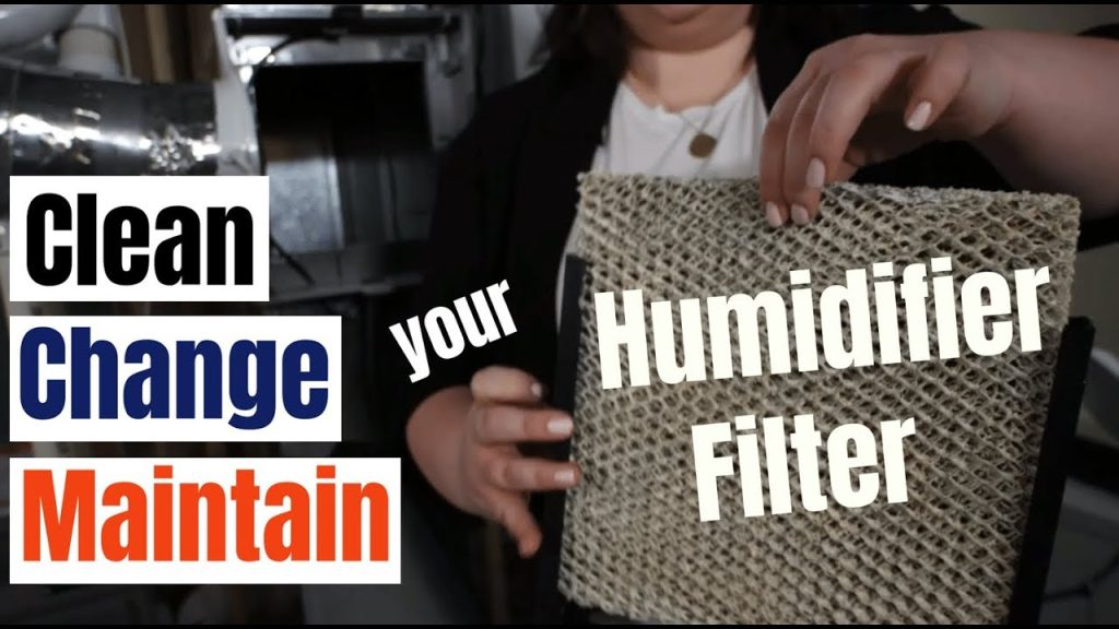 How Often to Clean Humidifier Filter