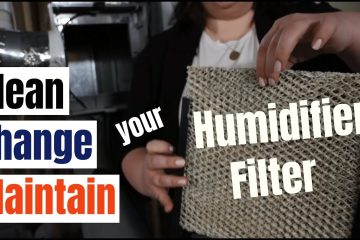 How Often to Clean Humidifier Filter