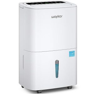 Waykar Dehumidifier Reviews